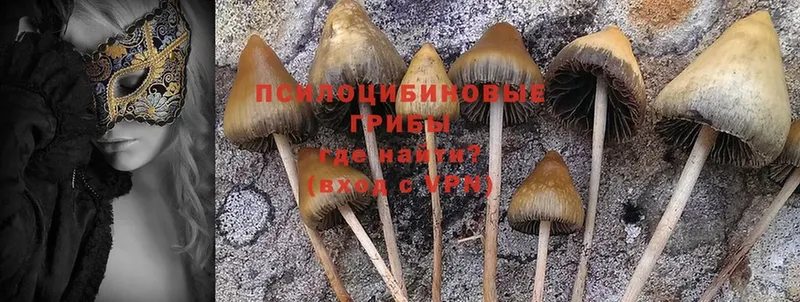 даркнет сайт  Ивангород  Псилоцибиновые грибы Magic Shrooms 